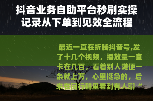 抖音业务自助平台秒刷实操记录从下单到见效全流程