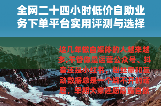 全网二十四小时低价自助业务下单平台实用评测与选择技巧