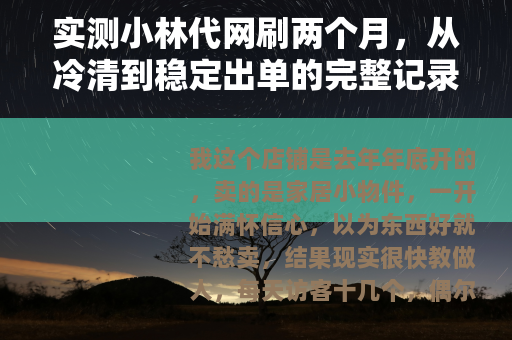 实测小林代网刷两个月，从冷清到稳定出单的完整记录
