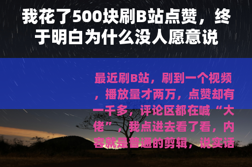 我花了500块刷B站点赞，终于明白为什么没人愿意说