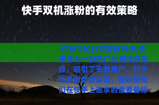 快手双机涨粉的有效策略