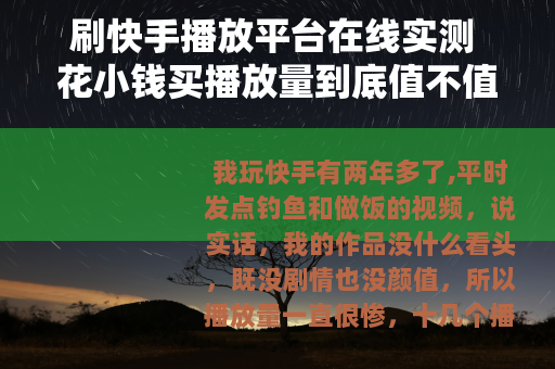 刷快手播放平台在线实测 花小钱买播放量到底值不值