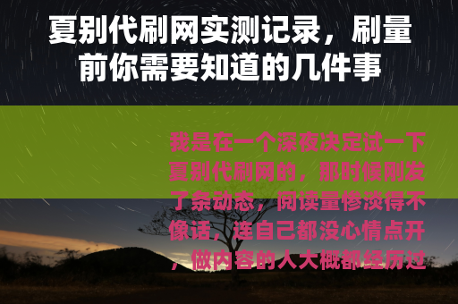 夏别代刷网实测记录，刷量前你需要知道的几件事