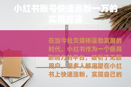 小红书账号快速涨粉一万的实用方法