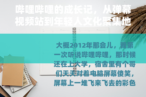 哔哩哔哩的成长记，从弹幕视频站到年轻人文化聚集地