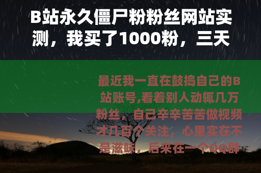 B站永久僵尸粉粉丝网站实测，我买了1000粉，三天后结果意外