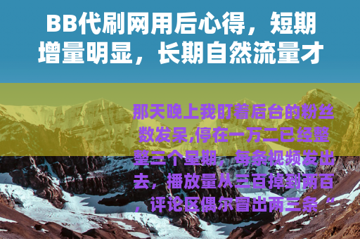 BB代刷网用后心得，短期增量明显，长期自然流量才是关键