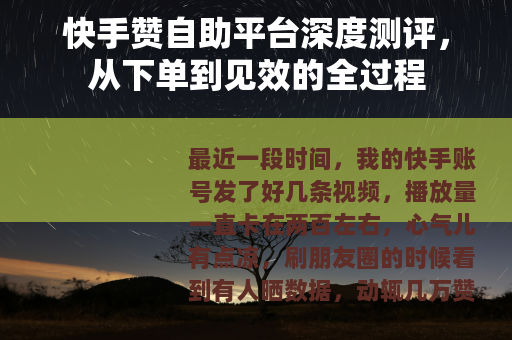 快手赞自助平台深度测评，从下单到见效的全过程