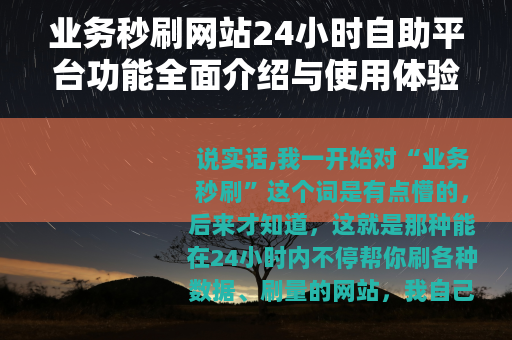 业务秒刷网站24小时自助平台功能全面介绍与使用体验