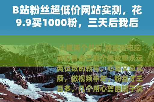 B站粉丝超低价网站实测，花9.9买1000粉，三天后我后悔了