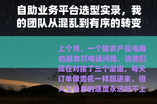 自助业务平台选型实录，我的团队从混乱到有序的转变