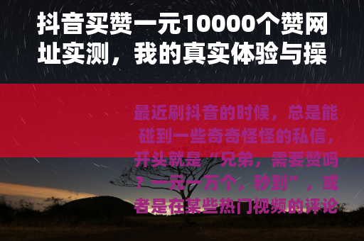 抖音买赞一元10000个赞网址实测，我的真实体验与操作心得