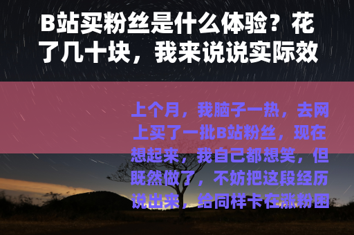 B站买粉丝是什么体验？花了几十块，我来说说实际效果和后续影响