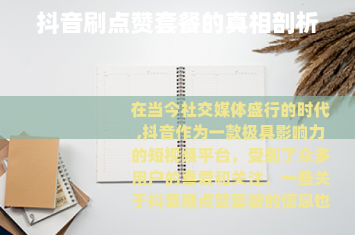 抖音刷点赞套餐的真相剖析