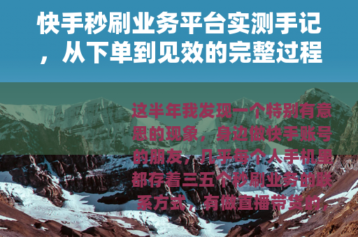 快手秒刷业务平台实测手记，从下单到见效的完整过程记录