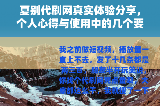 夏别代刷网真实体验分享，个人心得与使用中的几个要点