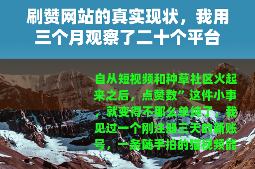刷赞网站的真实现状，我用三个月观察了二十个平台