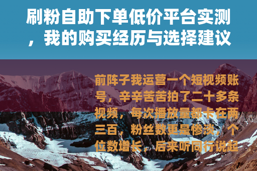 刷粉自助下单低价平台实测，我的购买经历与选择建议