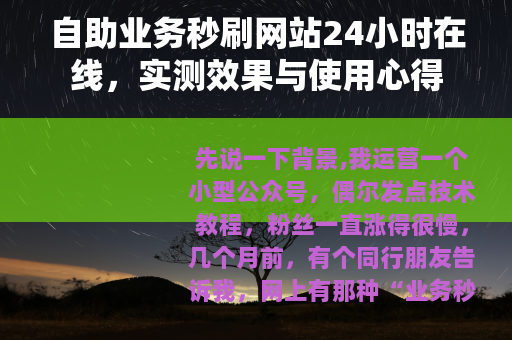 自助业务秒刷网站24小时在线，实测效果与使用心得