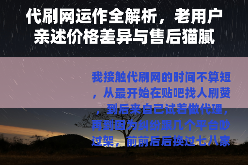 代刷网运作全解析，老用户亲述价格差异与售后猫腻