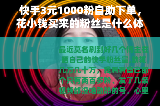 快手3元1000粉自助下单，花小钱买来的粉丝是什么体验