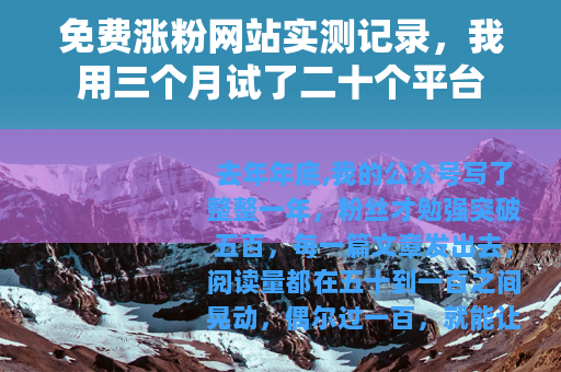 免费涨粉网站实测记录，我用三个月试了二十个平台