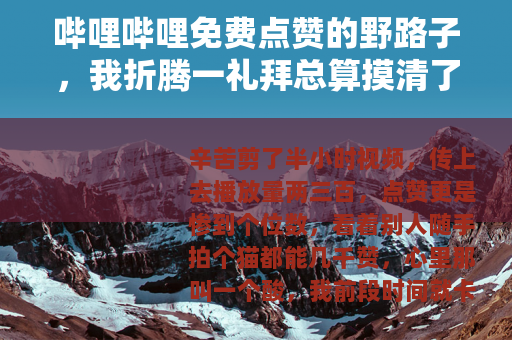 哔哩哔哩免费点赞的野路子，我折腾一礼拜总算摸清了