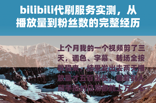 bilibili代刷服务实测，从播放量到粉丝数的完整经历