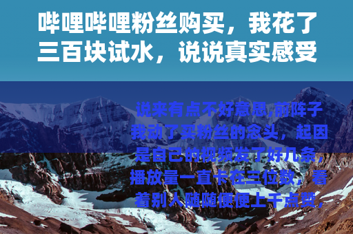 哔哩哔哩粉丝购买，我花了三百块试水，说说真实感受与效果
