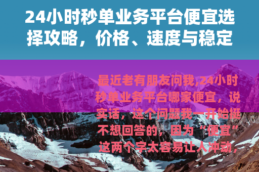 24小时秒单业务平台便宜选择攻略，价格、速度与稳定性全解析
