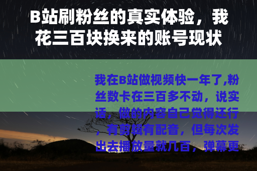 B站刷粉丝的真实体验，我花三百块换来的账号现状