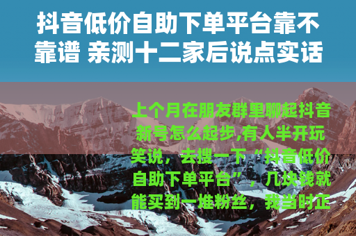 抖音低价自助下单平台靠不靠谱 亲测十二家后说点实话