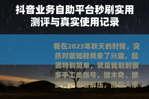 抖音业务自助平台秒刷实用测评与真实使用记录