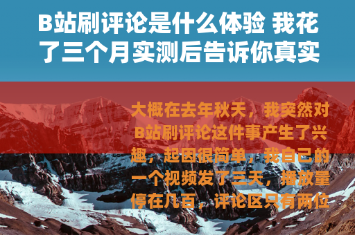 B站刷评论是什么体验 我花了三个月实测后告诉你真实情况