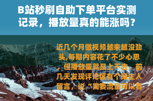 B站秒刷自助下单平台实测记录，播放量真的能涨吗？