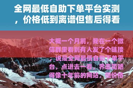 全网最低自助下单平台实测，价格低到离谱但售后得看运气
