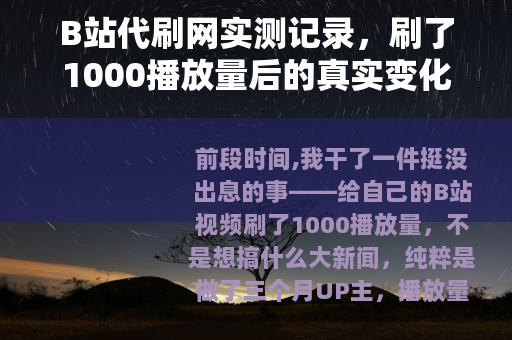 B站代刷网实测记录，刷了1000播放量后的真实变化