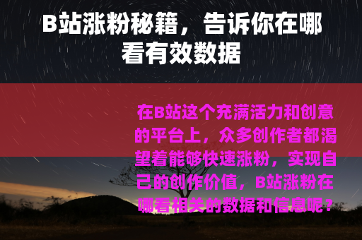 B站涨粉秘籍，告诉你在哪看有效数据