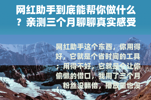 网红助手到底能帮你做什么？亲测三个月聊聊真实感受