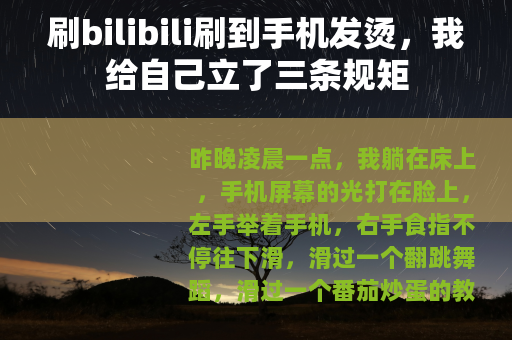 刷bilibili刷到手机发烫，我给自己立了三条规矩