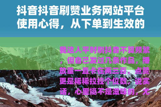 抖音抖音刷赞业务网站平台使用心得，从下单到生效的全过程记录