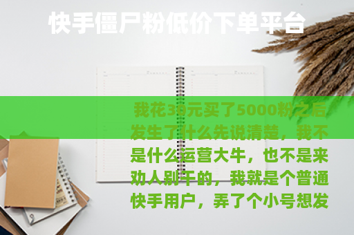 快手僵尸粉低价下单平台