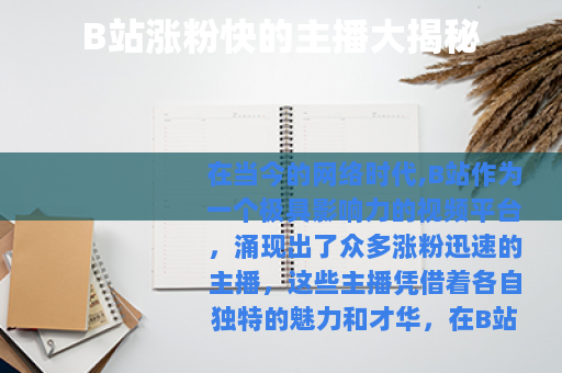 B站涨粉快的主播大揭秘