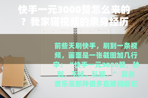 快手一元3000赞怎么来的？我家猫视频的亲身经历
