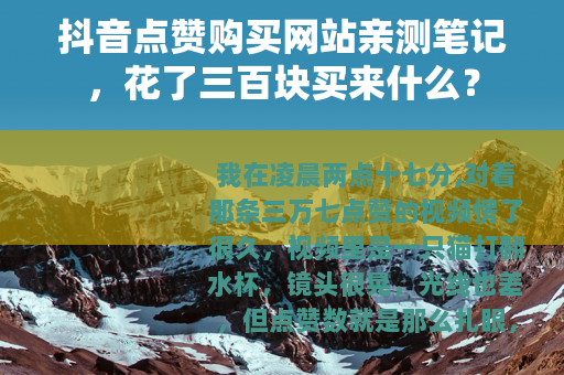 抖音点赞购买网站亲测笔记，花了三百块买来什么？