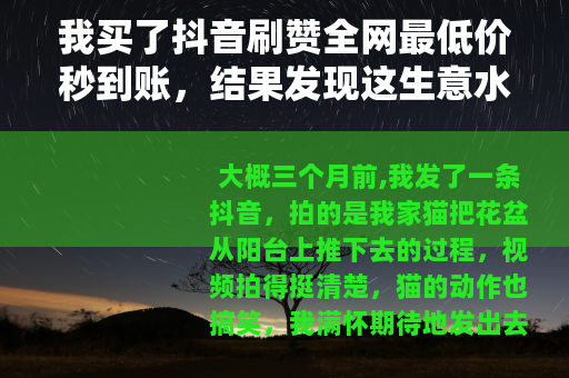 我买了抖音刷赞全网最低价秒到账，结果发现这生意水太深