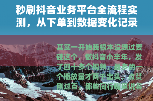 秒刷抖音业务平台全流程实测，从下单到数据变化记录