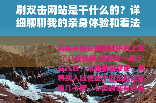 刷双击网站是干什么的？详细聊聊我的亲身体验和看法