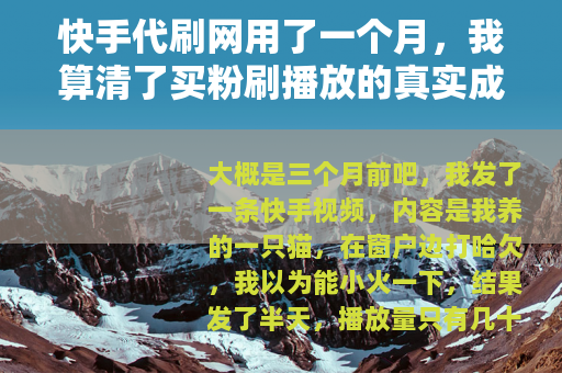 快手代刷网用了一个月，我算清了买粉刷播放的真实成本与效果