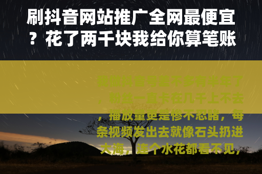 刷抖音网站推广全网最便宜？花了两千块我给你算笔账